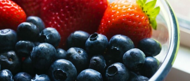 Tips voor het plukken van verse blauwe bessen
