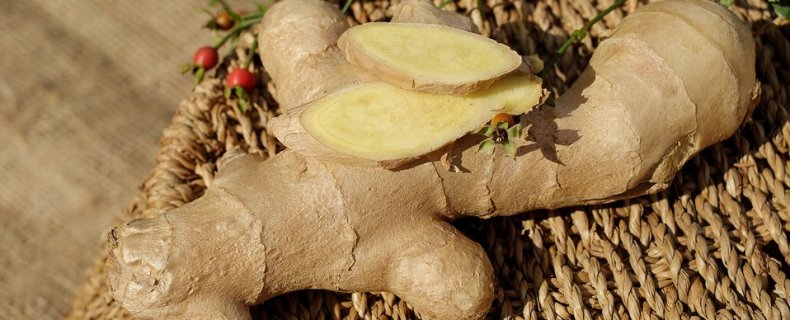 Gember geeft pep aan je keuken en je gezondheid