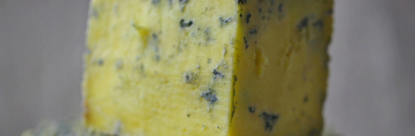 DE BESTE BLAUWE KAAS TER WERELD