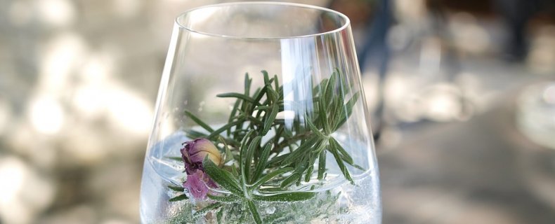 Hoe maak je een goede gin tonic?