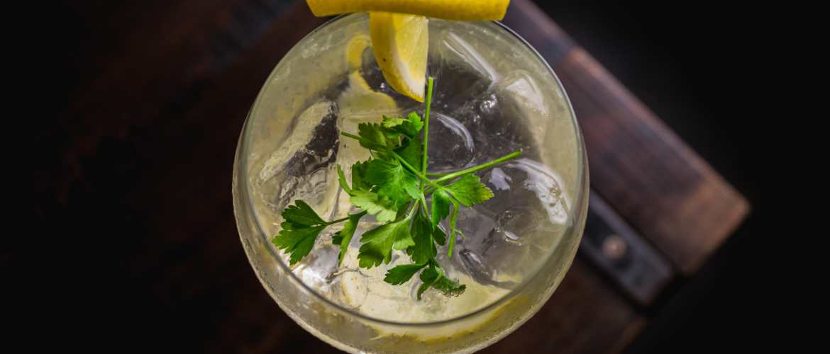 Welke tonic bij welke gin?