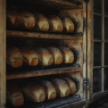 shelf-life
