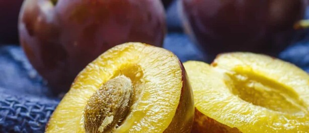 Wat is het beste alternatief voor suiker?